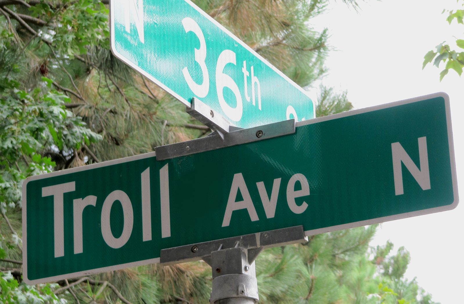 Troll Ave in Seattle, located a few blocks from Bastyr Center for Natural Health 