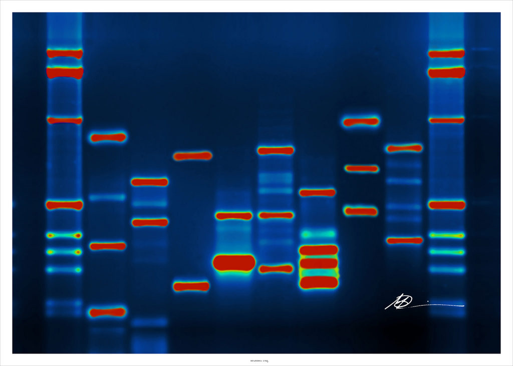 genetic testing personalized medicine